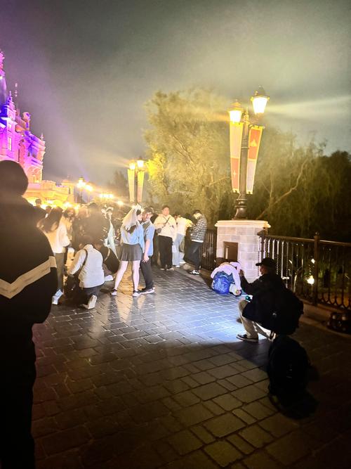 吐槽一下上海迪士尼现状(图1)