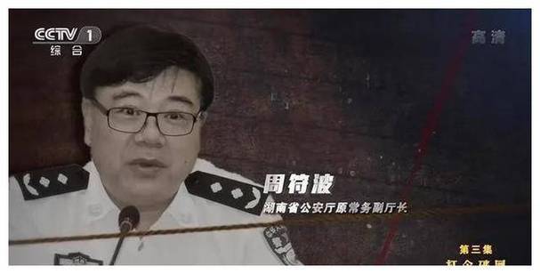 湖南公安厅原副厅长当保护伞 多名警界官员落马 涉案12亿(图1)