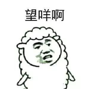 广州没有“漂”，来了就是家人(图6)