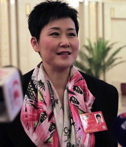 李小琳任中国大唐集团公司副总经理、党组成员（图/简历）(图3)